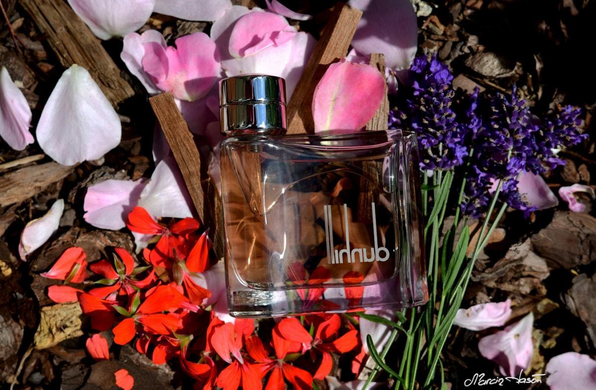 آلفرد دانهیل مردانه (دانهیل قهوه‌ای) | dunhill - Dunhill