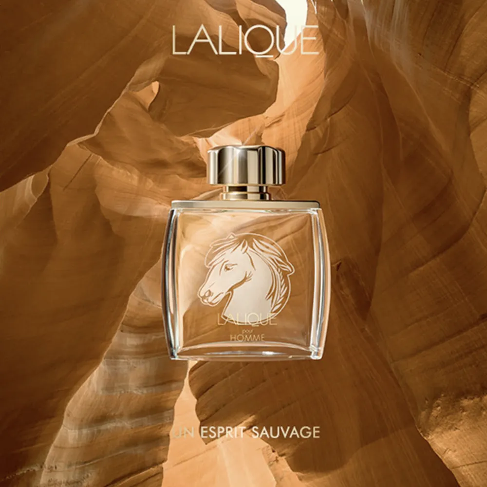 لالیک پورهوم ادو پرفیوم (لالیک شیر) | LALIQUE - Lalique Pour Homme EDP