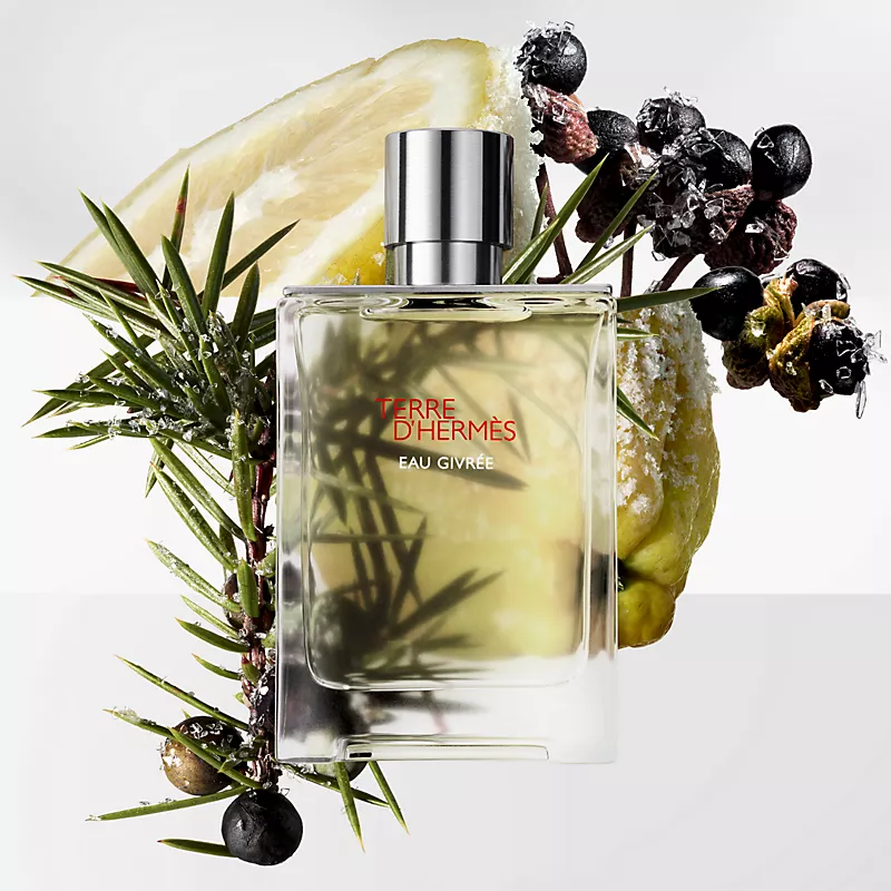 هرمس تق د هرمس او گیوری | HERMES - Terre d'Hermes Eau Givree