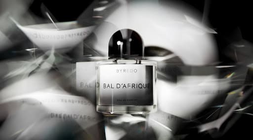 بیره دو بال د آفریک | BYREDO - Bal d'Afrique