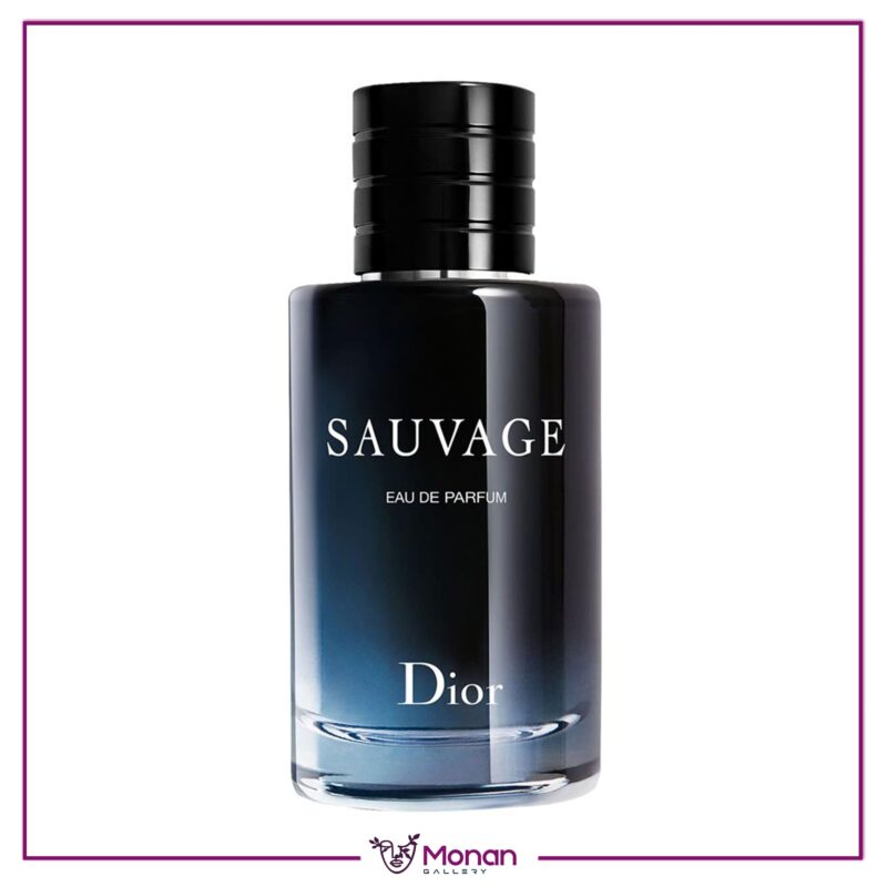 دیور ساوج (کریستین دیور ساواج) | Dior - Dior Sauvage - Image 1
